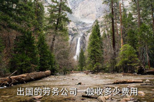 提供境外勞務(wù)如何收費(fèi)，出國(guó)的勞務(wù)公司一般收多少費(fèi)用