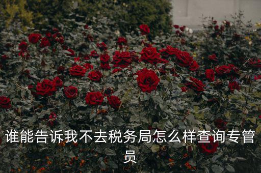 如何查納稅人的稅管員，誰能告訴我不去稅務(wù)局怎么樣查詢專管員