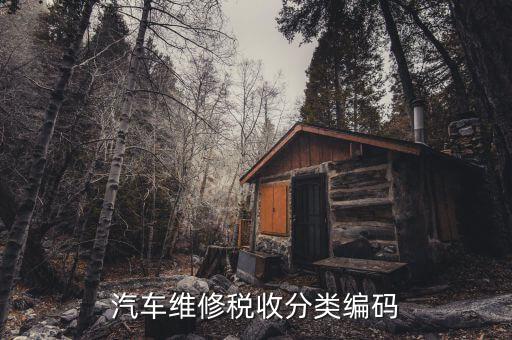 稅收分類編碼如何查詢，汽車維修稅收分類編碼