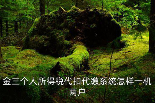 金三個(gè)人所得稅代扣代繳系統(tǒng)怎樣一機(jī)兩戶(hù)