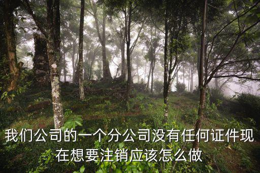 外管證不見了如何注銷，注銷外管證沒帶公司章可以嗎