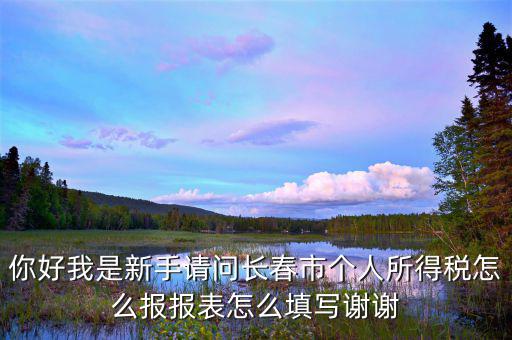 長春國稅如何報稅，長春市地稅申報