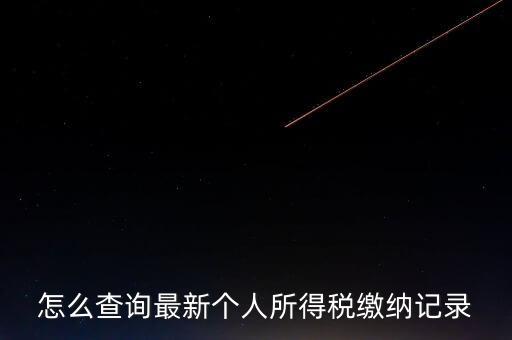 如何查稅收記錄，怎么查詢最新個(gè)人所得稅繳納記錄