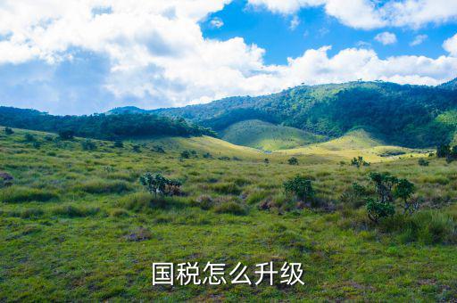 國稅系統(tǒng)如何適應(yīng)新時代，如何做好新形勢下的國稅工作