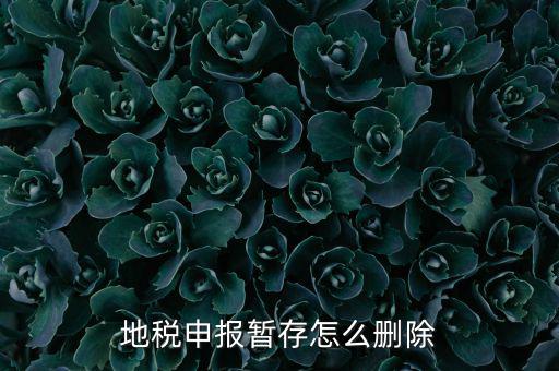 地稅的附加稅如何刪除申報記錄，地稅報表報錯怎樣刪除