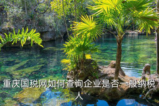 如何在國稅網(wǎng)查是否一般納稅人，怎么在網(wǎng)上查一個(gè)單位是不是一般納稅人