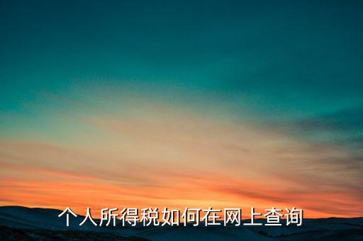 天津如何查個人所得稅，個人所得稅如何在網(wǎng)上查詢