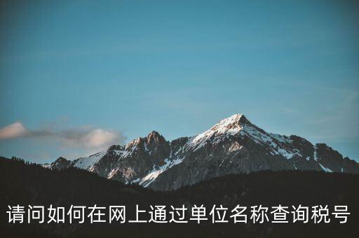 稅號(hào)如何查詢網(wǎng)站，怎么在網(wǎng)上查企業(yè)稅號(hào)