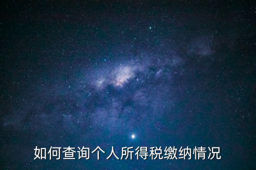 如何查詢(xún)個(gè)人所得稅繳納情況