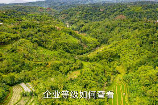 如何查企業(yè)信譽(yù)等級(jí)，怎么查企業(yè)信用