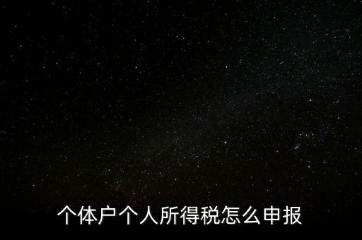 如何注冊個人所得稅報稅，個體戶個人所得稅怎么申報