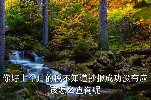 你好上個月的稅不知道抄報(bào)成功沒有應(yīng)該怎么查詢呢