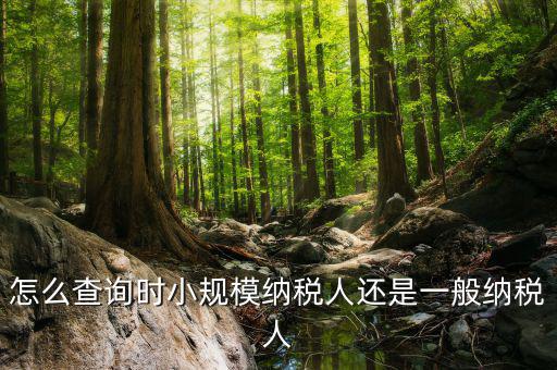 如何查詢成為納稅人時(shí)間，怎么查詢時(shí)小規(guī)模納稅人還是一般納稅人