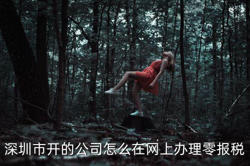 深圳市開的公司怎么在網上辦理零報稅