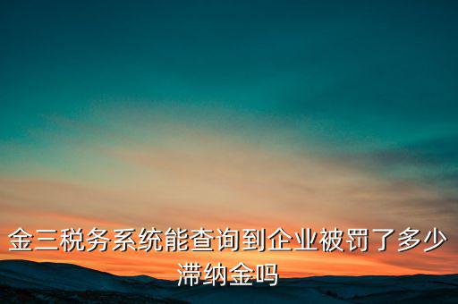 稅務(wù)部門的行政處罰如何查詢，公司的稅務(wù)罰款去哪里查詢急