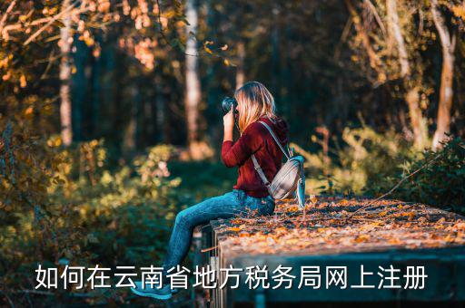 如何進(jìn)入云南稅務(wù)系統(tǒng)上報(bào)稅，如何在云南省地方稅務(wù)局網(wǎng)上注冊(cè)