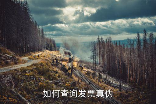 如何查北京的發(fā)票真?zhèn)?，北京電子發(fā)票真?zhèn)尾樵?/></a></span><span id=