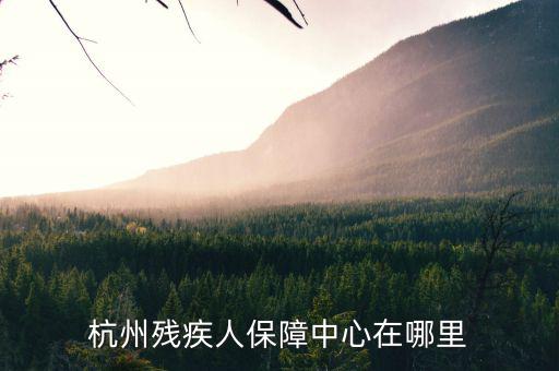 杭州市殘保證如何申請(qǐng)，杭州殘疾人保障中心在哪里