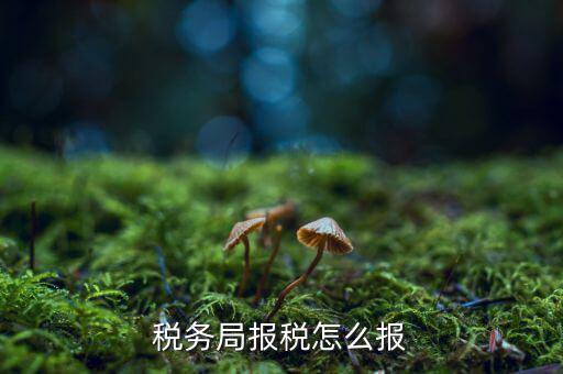 南通地稅如何申報(bào)，江蘇南通國(guó)家稅務(wù)局通用機(jī)打發(fā)票CIMS中沒有該用戶的申請(qǐng)或?qū)徟?/></a></span><span id=