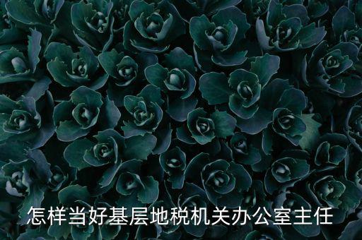 稅務(wù)部門如何抓好主體責(zé)任，如何做好稅收法規(guī)工作