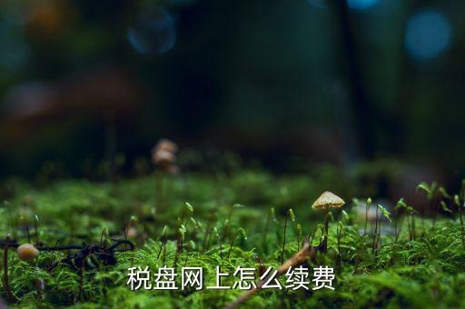 金稅盤如何繳費，稅盤網(wǎng)上怎么續(xù)費