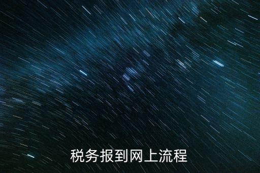 如何進行國稅報道，稅務報道的流程