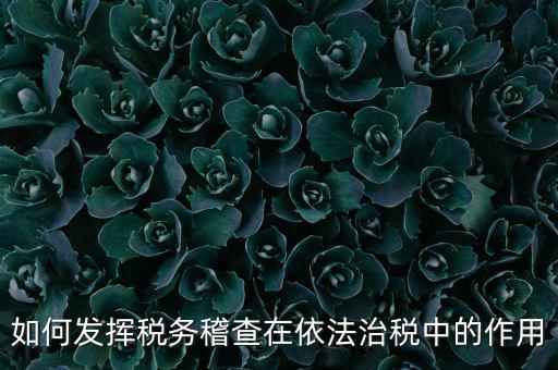 稽查部門如何優(yōu)化稅收營商環(huán)境，如何充分發(fā)揮稽查職能作用更好服務(wù)于全省稅收征管工作發(fā)展大局