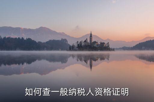 如何查一般納稅人資格，如何查一般納稅人資格證明