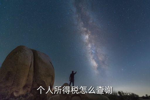 如何查詢個人稅務信息查詢，怎樣查詢個人所得稅