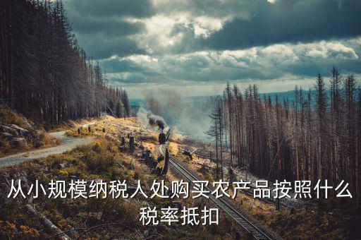 小規(guī)模納稅人 農(nóng)產(chǎn)品如何開票適用稅率，小規(guī)模納稅人銷售農(nóng)產(chǎn)品開什么發(fā)票