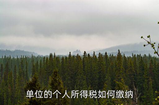 企業(yè)個(gè)人所得稅如何繳納，私營企業(yè)職工個(gè)人所得稅如何繳納
