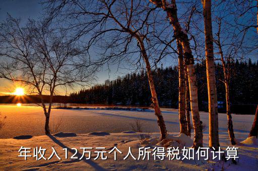 如何計(jì)算12萬申報(bào)，年收入12萬元個(gè)人所得稅如何計(jì)算