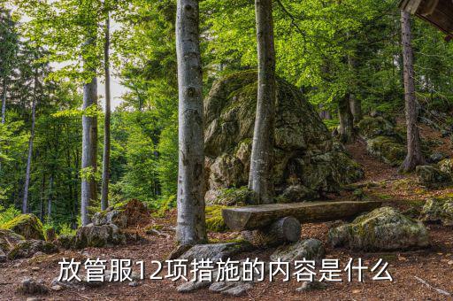 在放管服中如何加強(qiáng)審計(jì)稽察，放管服12項(xiàng)措施的內(nèi)容是什么