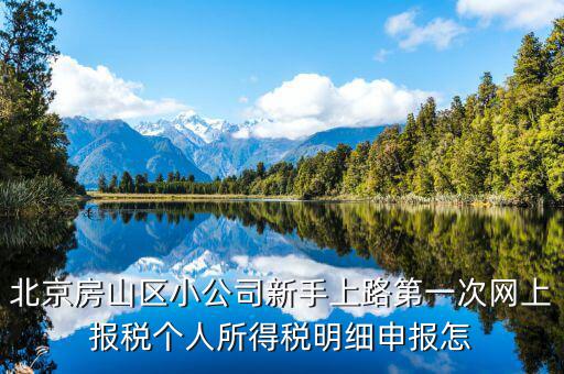 北京網(wǎng)上申報(bào)后如何繳稅，地稅國(guó)稅的網(wǎng)上繳稅怎么繳