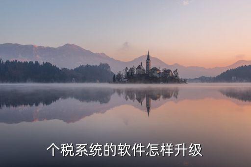 稅務(wù)系統(tǒng)如何升級(jí)1128，稅控發(fā)票開票系統(tǒng)稅控盤怎么升級(jí)