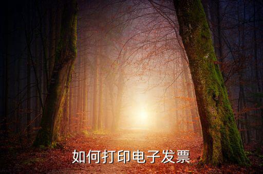 如何將電子發(fā)票，發(fā)票怎么以電子形式發(fā)給