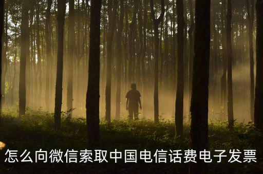 發(fā)票幫公眾號如何使用，9月1號預(yù)付微信公眾號300元9月6號收到發(fā)票要怎么做賬