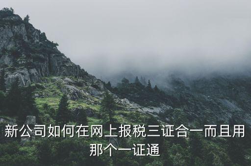 新公司如何在網上報稅三證合一而且用那個一證通