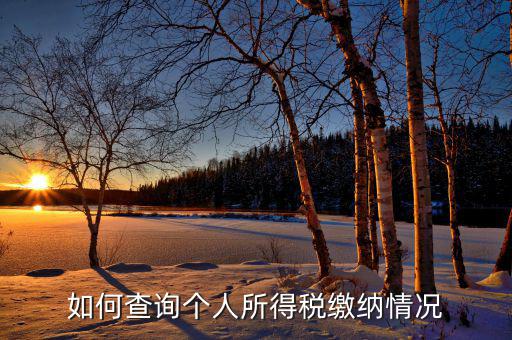 如何查詢自己交稅情況，個人繳稅記錄怎么查詢