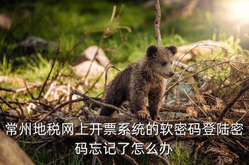 江蘇省電子稅務(wù)局如何找回密碼，稅務(wù)電子申報(bào)軟件密碼忘記該怎么辦