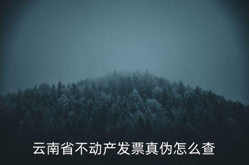 不動產(chǎn)統(tǒng)一發(fā)票如何查詢真?zhèn)?，銷售不動產(chǎn)統(tǒng)一發(fā)票真假怎么辨別