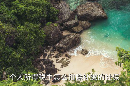 補(bǔ)繳社保如何扣個稅，補(bǔ)繳社保能否在申報個稅時扣除