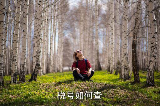 武漢如何查公司稅號(hào)，有誰(shuí)知道公司名怎么查公司稅號(hào)