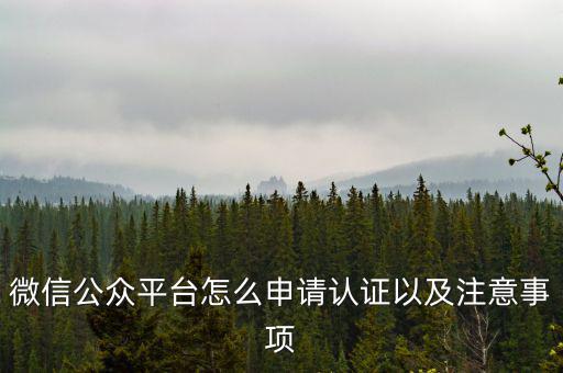 微信公眾平臺(tái)怎么申請認(rèn)證以及注意事項(xiàng)