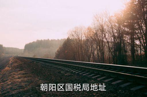 如何查詢所屬朝陽區(qū)哪家稅局，如何查詢自己所屬北京市朝陽區(qū)哪家稅務(wù)所