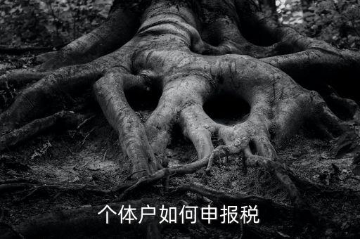個(gè)體工商戶(hù)稅如何申報(bào)，個(gè)體工商戶(hù)個(gè)稅怎么報(bào)