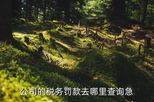 如何查稅收違法記錄，公司的稅務(wù)罰款去哪里查詢急