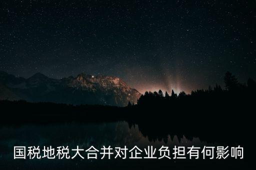 國稅地稅大合并對企業(yè)負擔(dān)有何影響