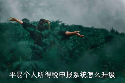 個稅如何在線升級，個稅系統(tǒng)的版本號V12146如何升級V12159