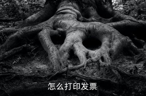 億企贏攜稅寶發(fā)票如何打印，這樣怎么打印電子發(fā)票